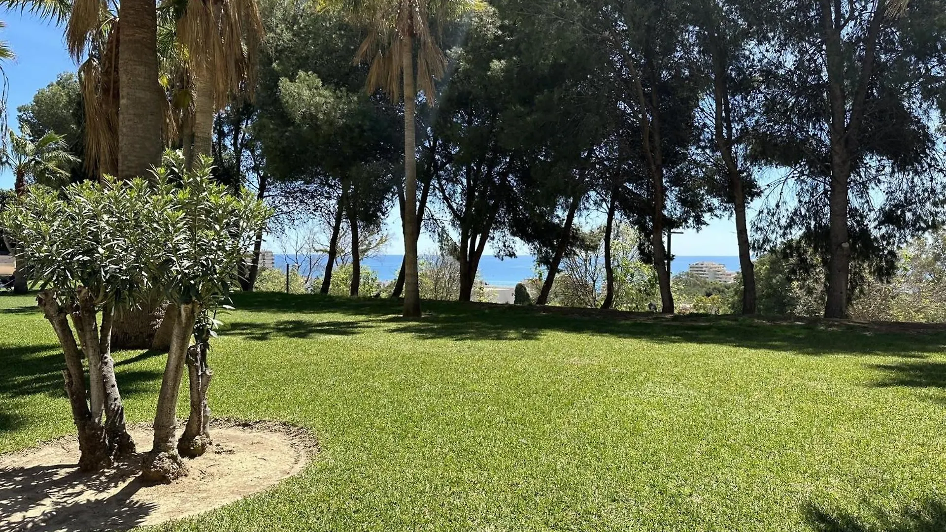 Apartment Estudio Con Vistas Al Mar A 800M De La Playa Arroyo De La Miel