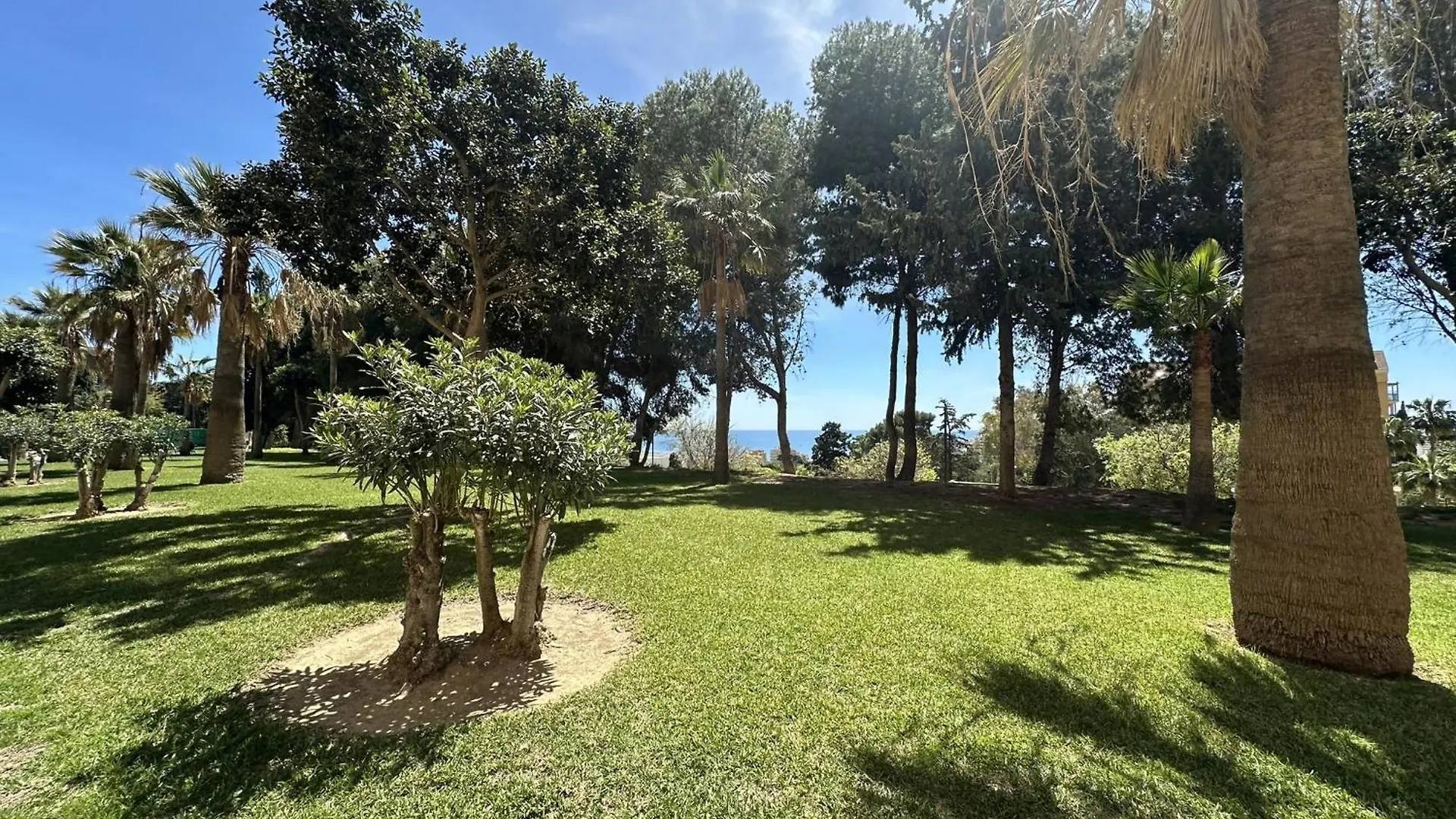Estudio Con Vistas Al Mar A 800M De La Playa Arroyo De La Miel Apartment